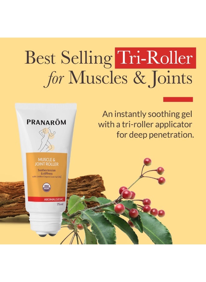 PRANAROM Pranarôm Aromalgic Articulations and Muscles Organic Roller 75 ml - Image 4